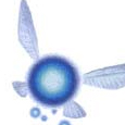 Navi